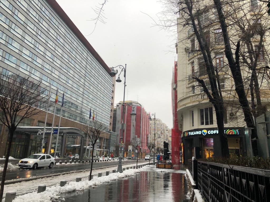 Calea Victoriei, 5-room apartment. Ideal office.